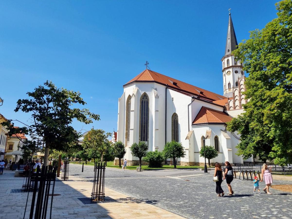 Apartment In A Historical House In The Center Of Levoca Luaran gambar
