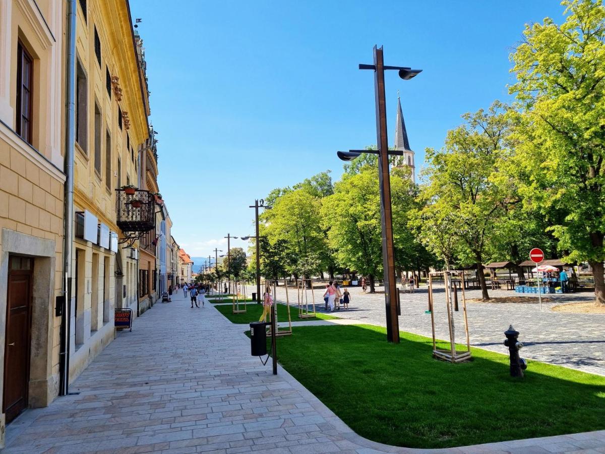 Apartment In A Historical House In The Center Of Levoca Luaran gambar